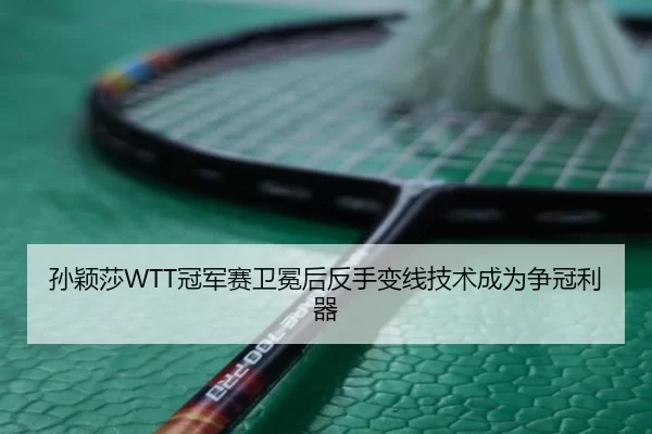 sun-ying-sha-guan-jun-sai-wei-mian-hou-fan-shou-bian-xian-ji-shu-cheng-wei-zheng-guan-li-qi-3-705.jpg